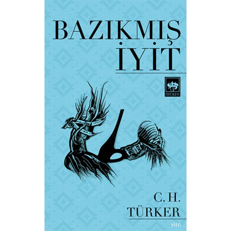Bazıkmış İyit Bazıkmış İyit
