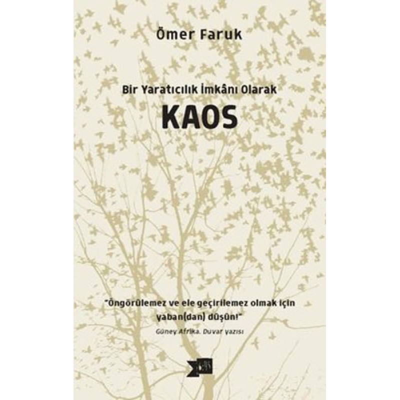 Bir Yaratıcılık İmkanı Olarak Kaos Bir Yaratıcılık İmkanı Olarak Kaos