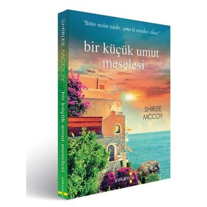 Bir Küçük Umut Meselesi Bir Küçük Umut Meselesi