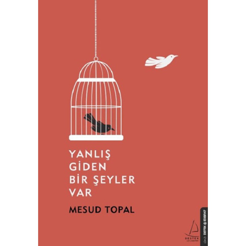 Yanlış Giden Bir Şeyler Var Yanlış Giden Bir Şeyler Var
