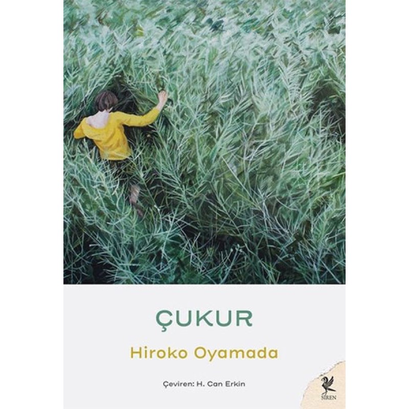 Çukur Çukur