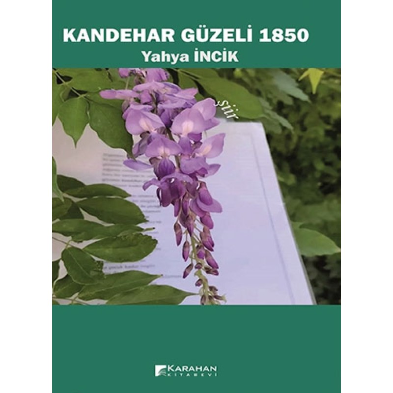 Kandehar Güzeli 1850 Kandehar Güzeli 1850