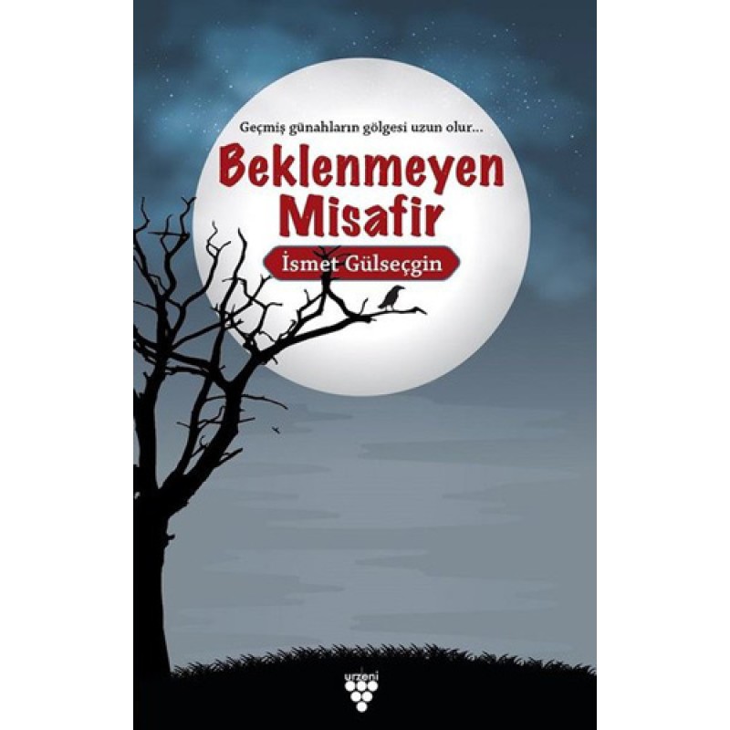Beklenmeyen Misafir