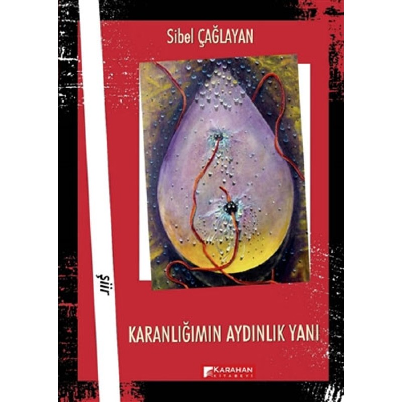 Karanlığımın Aydınlık Yanı Karanlığımın Aydınlık Yanı