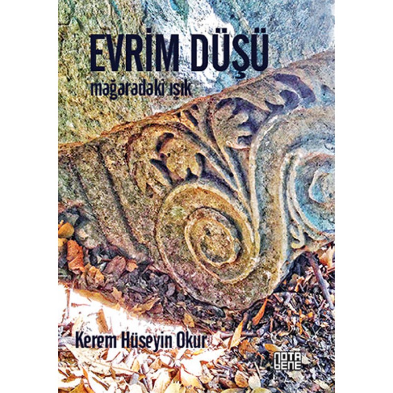 Evrim Düşü Evrim Düşü