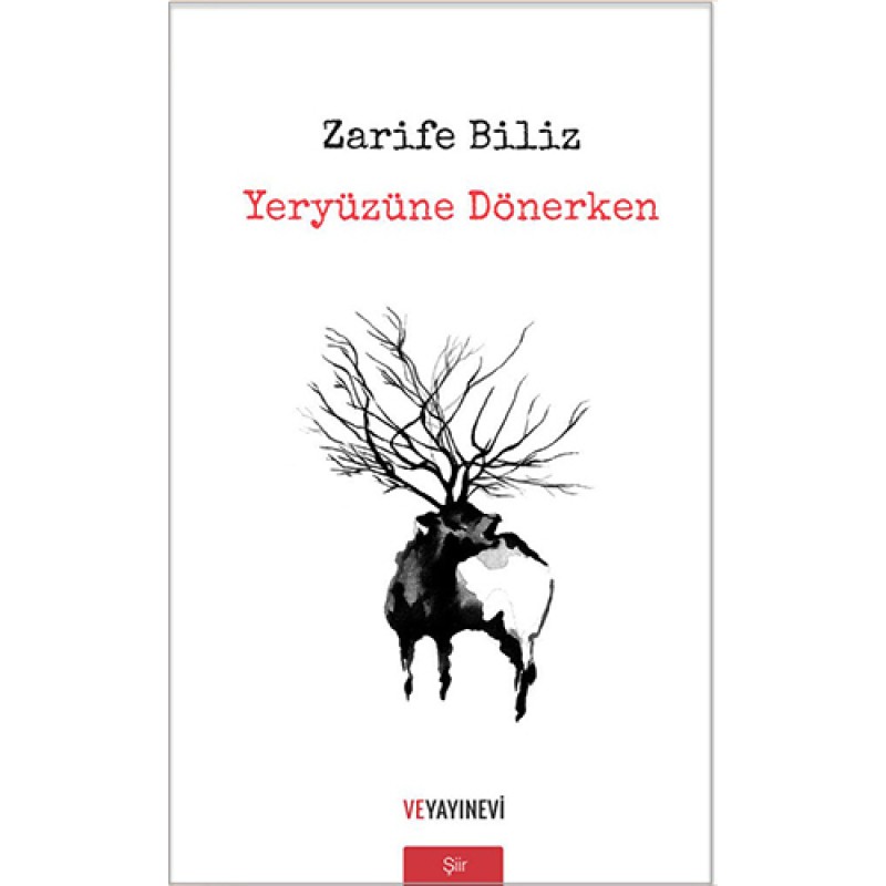 Yeryüzüne Dönerken Yeryüzüne Dönerken