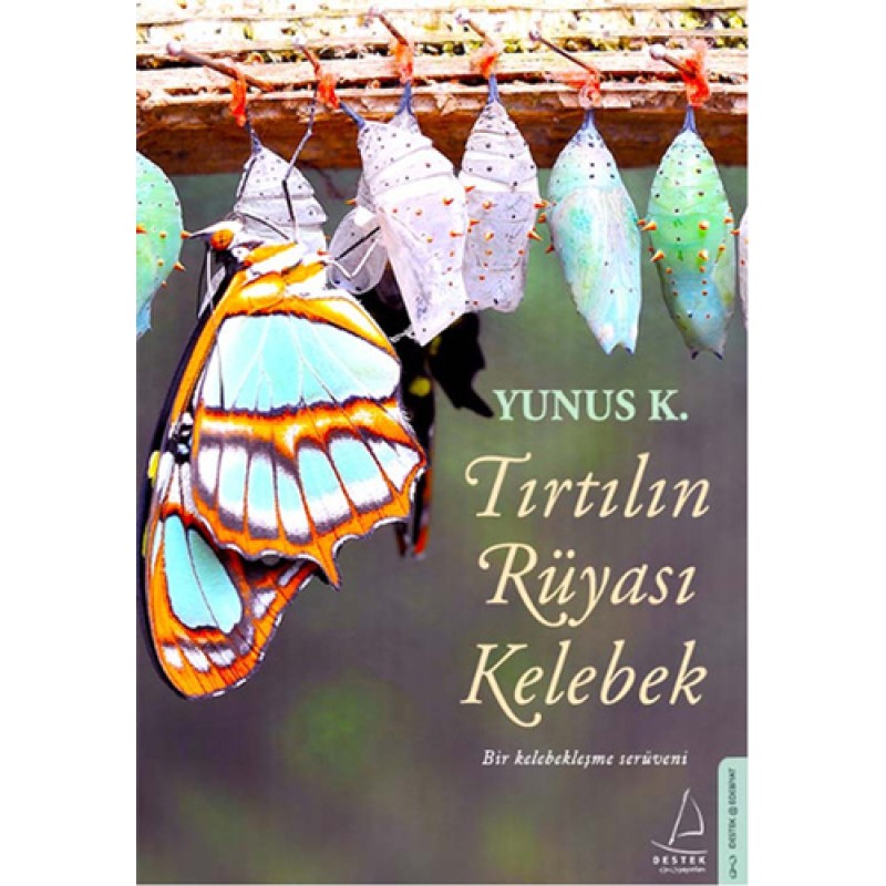 Tırtılın Rüyası Kelebek Tırtılın Rüyası Kelebek