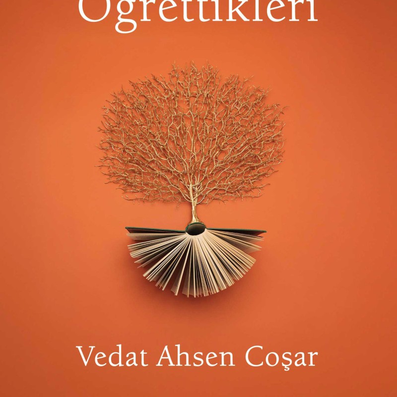 Hayatın Bana Öğrettikleri
