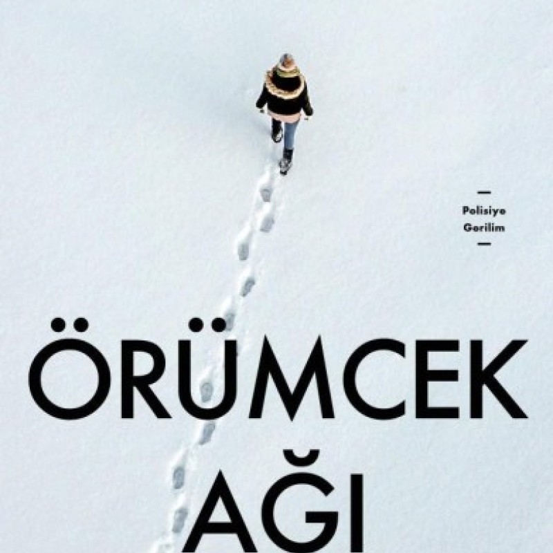 Örümcek Ağı