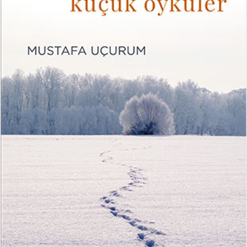 Koca Dünyaya Küçücük Öyküler