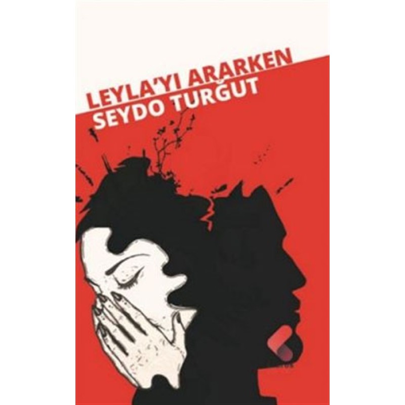 Leyla'yı Ararken Leyla'yı Ararken