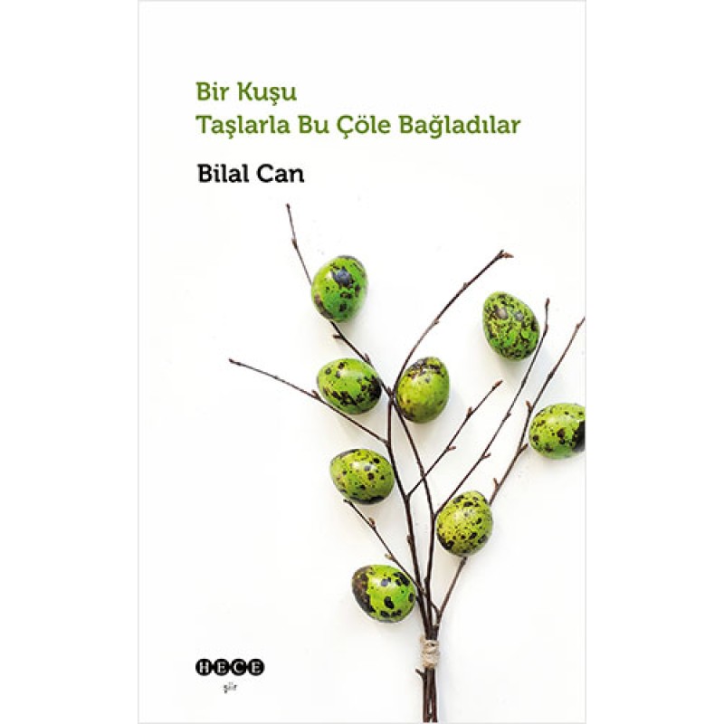 Bir Kuşu Taşlarla Bu Çöle Bağladılar Bir Kuşu Taşlarla Bu Çöle Bağladılar