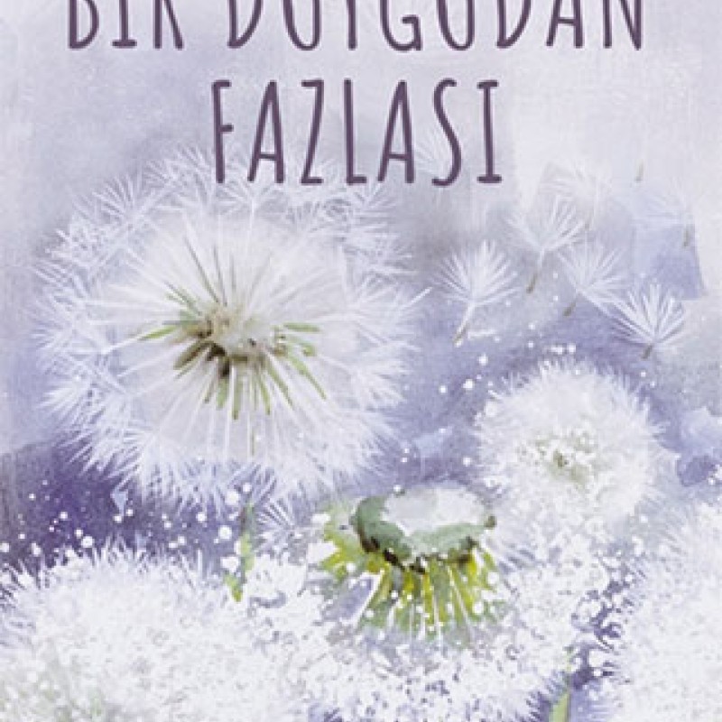 Bir Duygudan Fazlası Bir Duygudan Fazlası