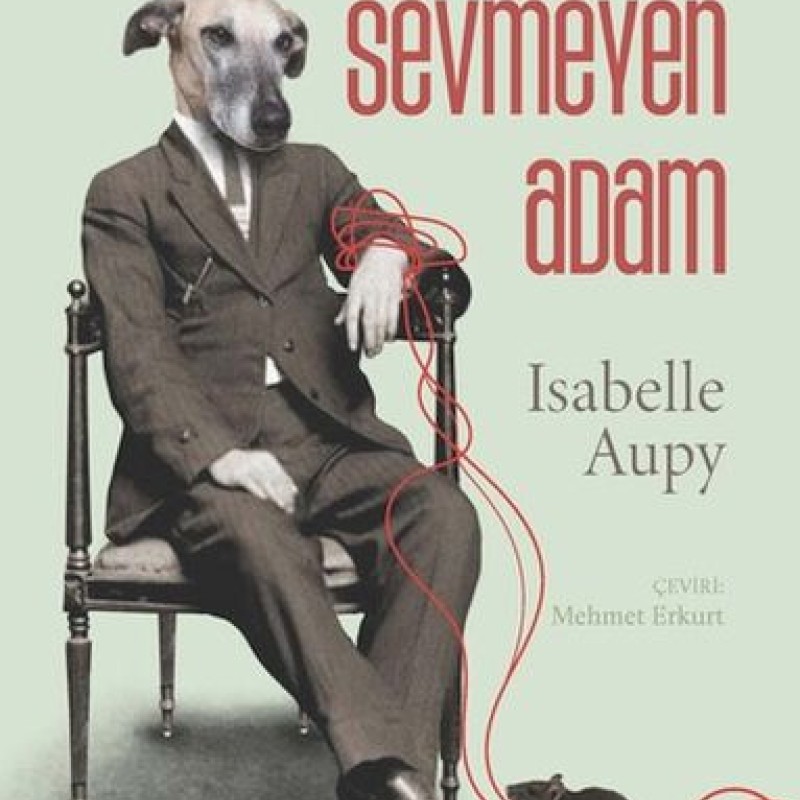 Artık Kedileri Sevmeyen Adam