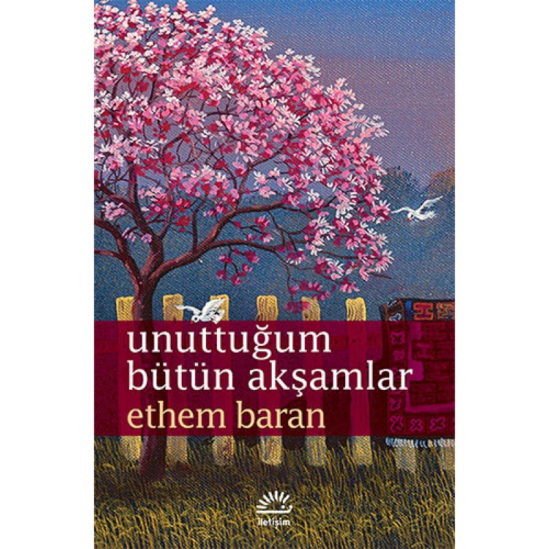 Unuttuğum Bütün Akşamlar Unuttuğum Bütün Akşamlar