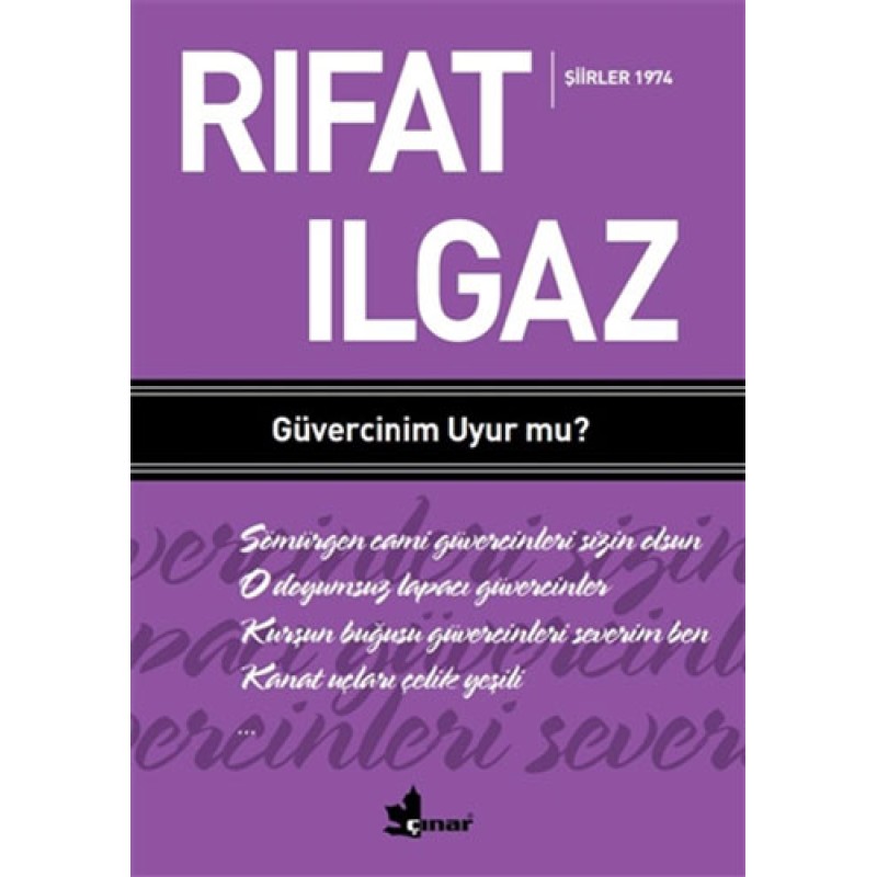 Güvercinim Uyur Mu? Güvercinim Uyur Mu?