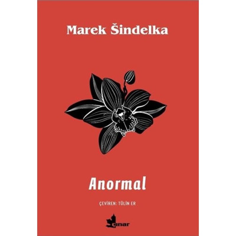 Anormal Anormal