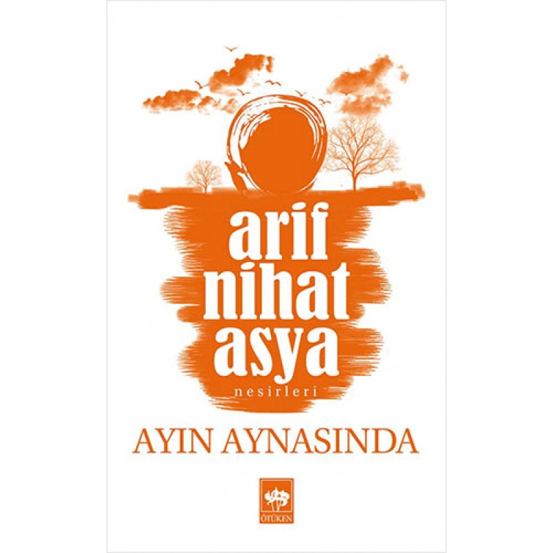 Ayın Aynasında Ayın Aynasında