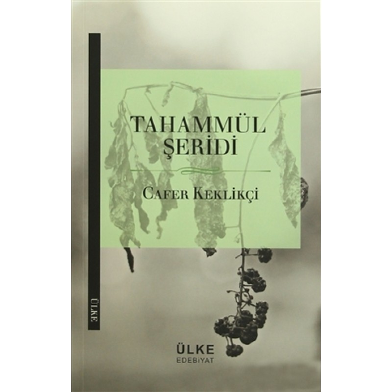 Tahammül Şeridi Tahammül Şeridi
